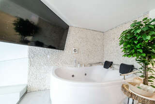 Гостиница Loft SPA Москва SPA VIP c сауной и джакузи-4