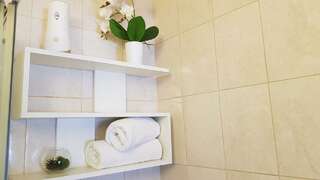 Гостиница Loft SPA Москва SPA Люкс с сауной и джакузи-13